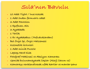 Sıla'nın Bavul Listesi